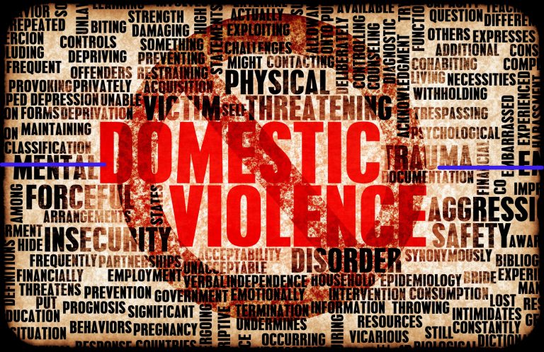 domestic violence laws in ny